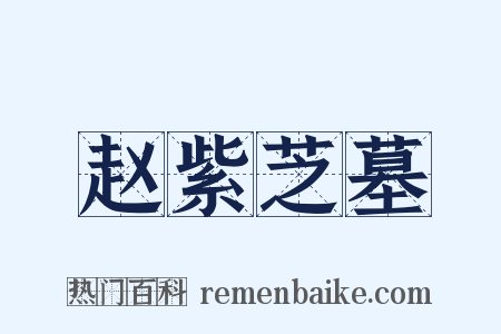 赵紫芝墓是什么意思的图片